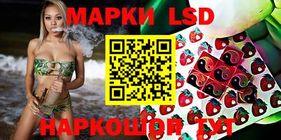 амф Обь